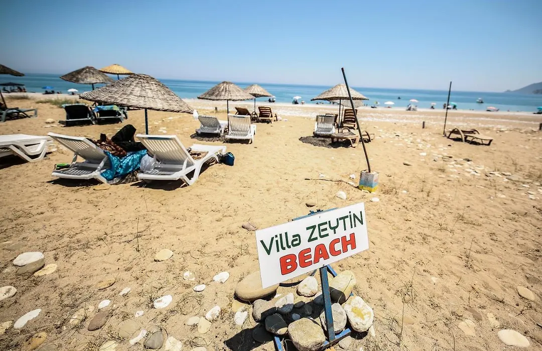 Villa Zeytin-1