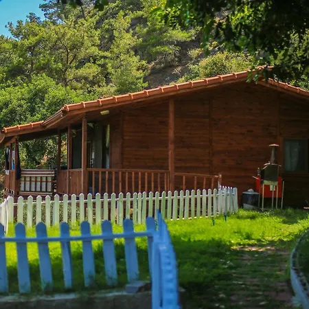 Villa Zeytin-2